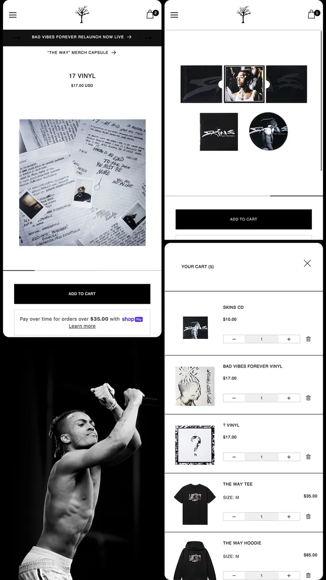 Project image