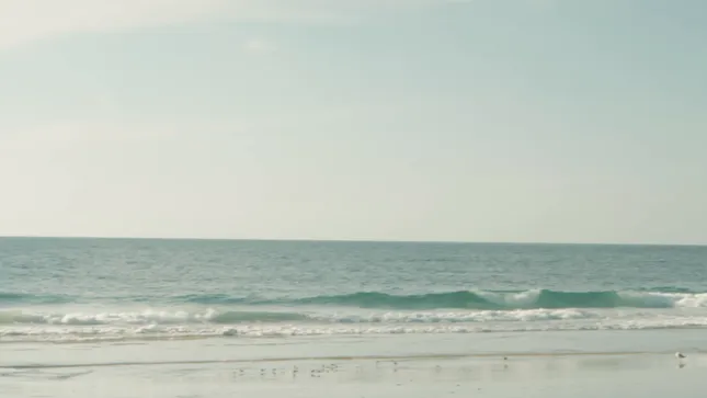 N3on International Trip Trailer