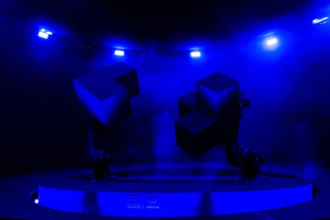 Project image