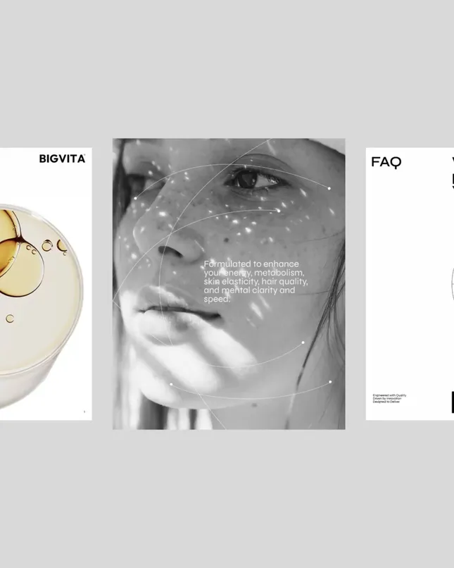 BIGVITA Compositional Design
