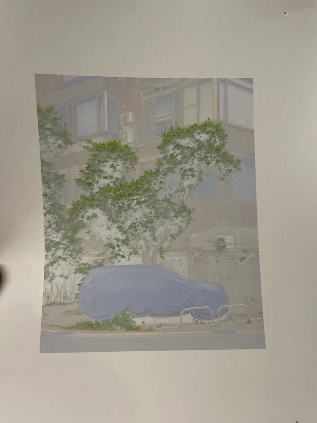 Project image