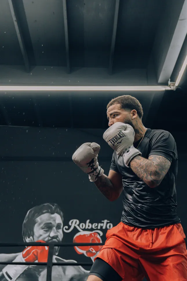 🥊