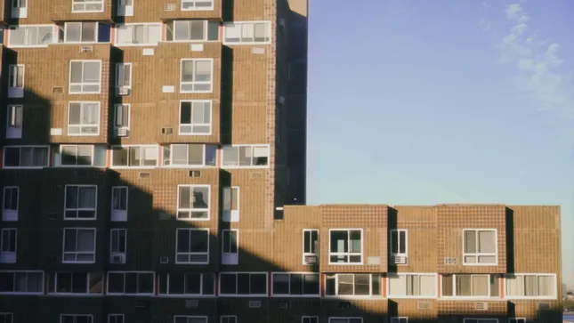 Vogue Editorial_FW 2020