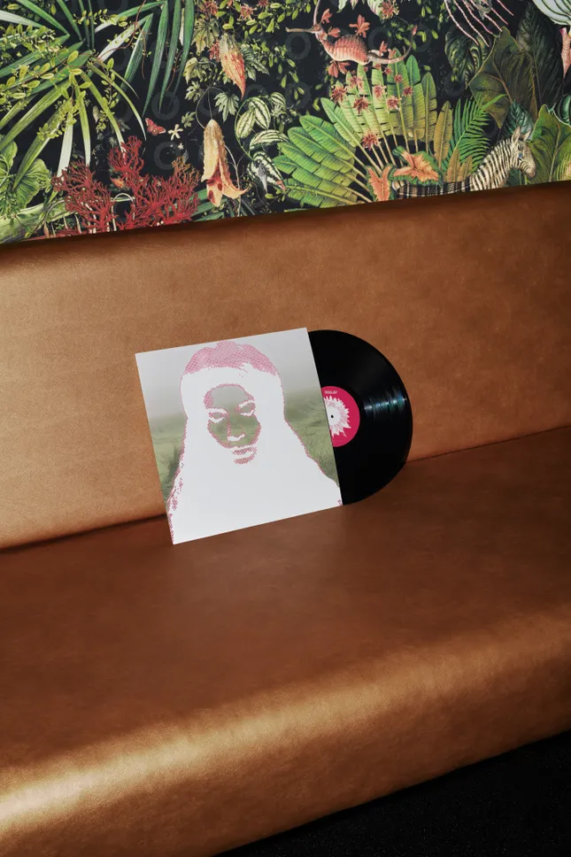 Vinyl Cover Concept