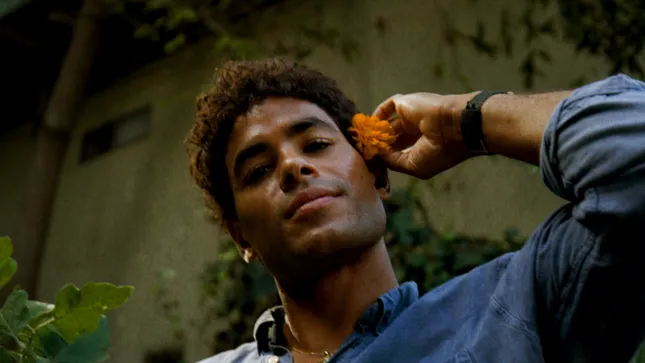Michael for Lettuce Grow