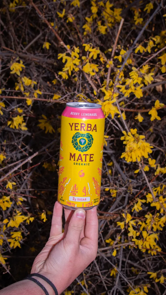 Guayakí Yerba Mate Product Promotion