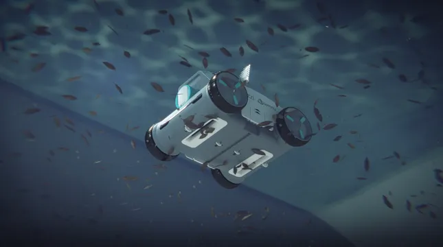 Project image