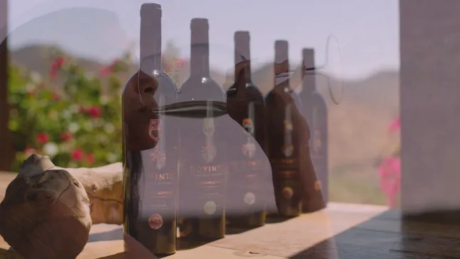 DOVINTO Wine