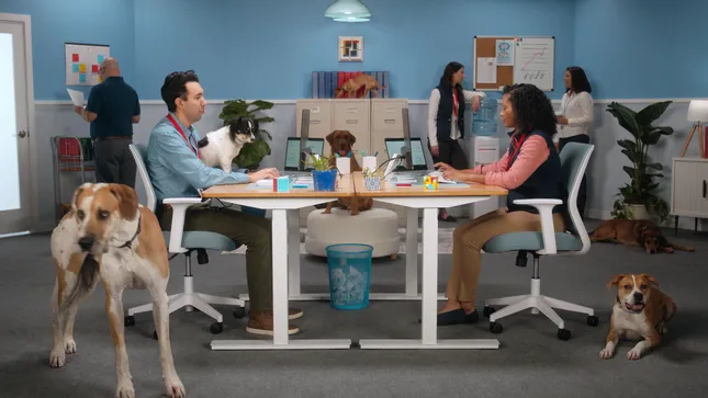 Varonis | New Best Friend