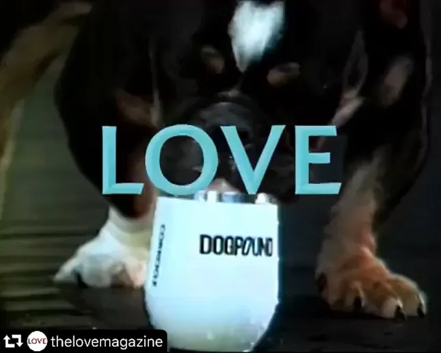 LOVE Magazine x DOGPOUND LA
