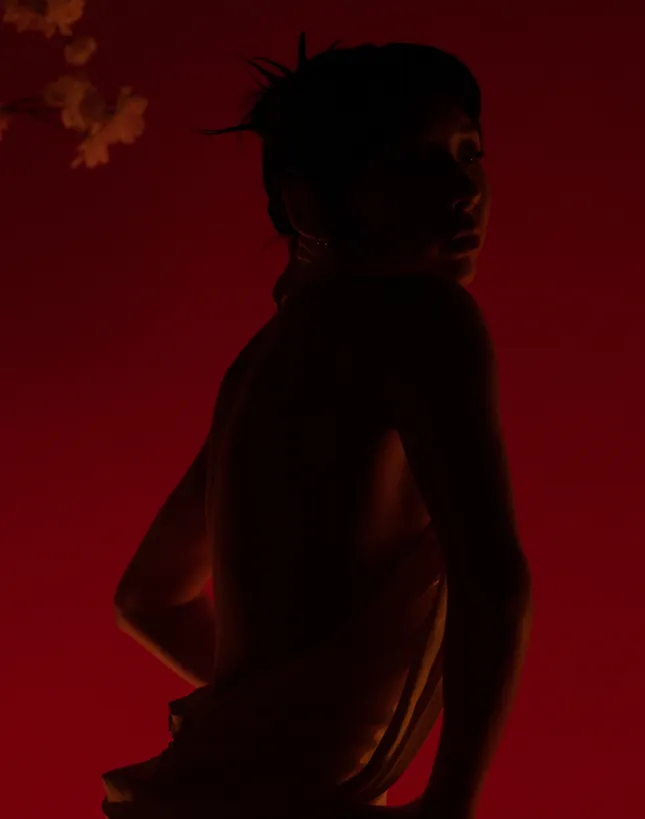 Project image