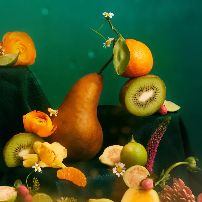 Fruit or Flower album artwork