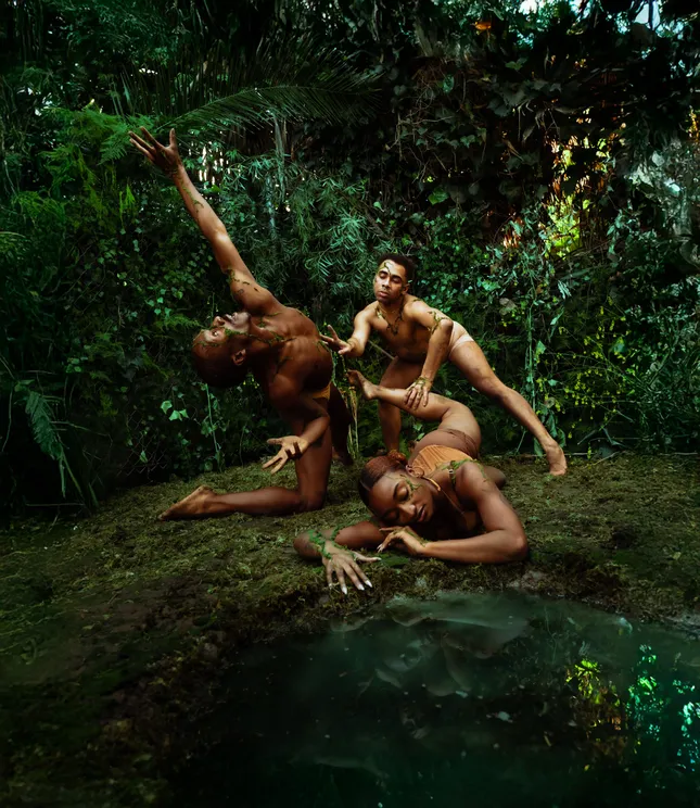 Black Excellence Vol 6