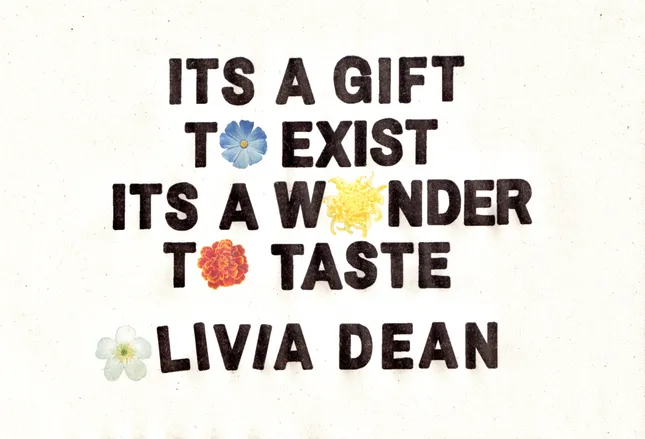Olivia Dean Merchandise Designs (2024)