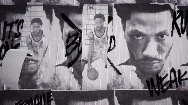 D Rose 5 Campaign