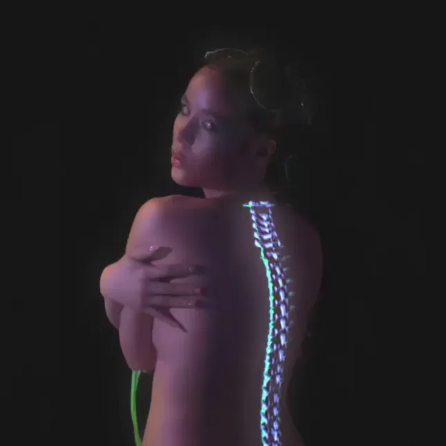 Blossom spine projection mapping