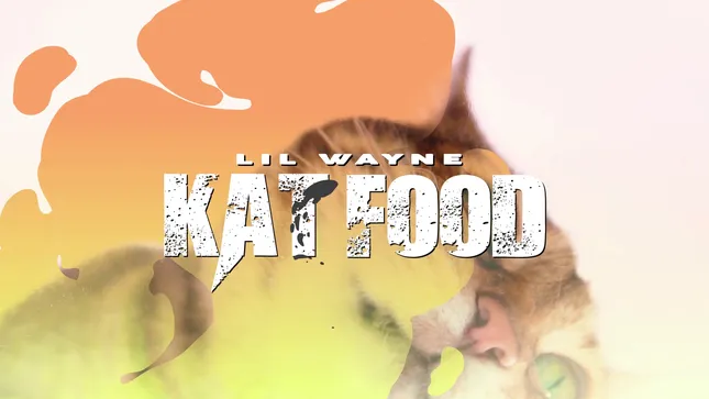 Lil Wayne - Kat Food (Official Lyric Video)