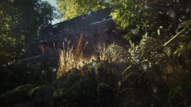 Hornbach - Let nature do the job