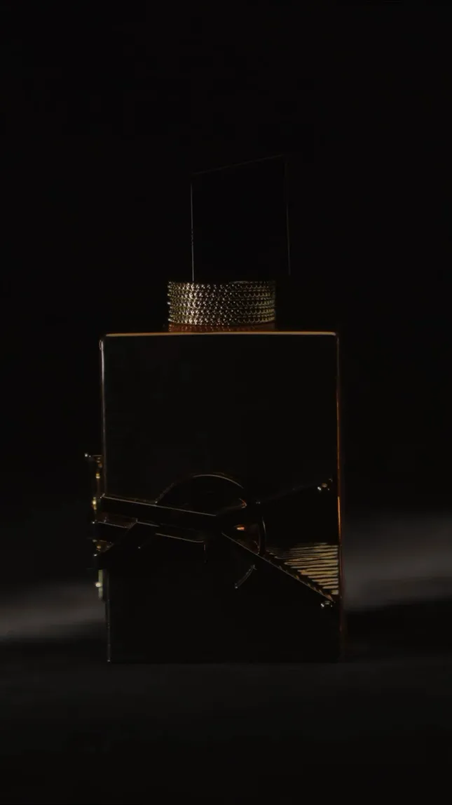 YSL Beauty Campaign