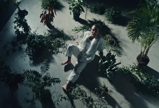 Satoshi // VFX