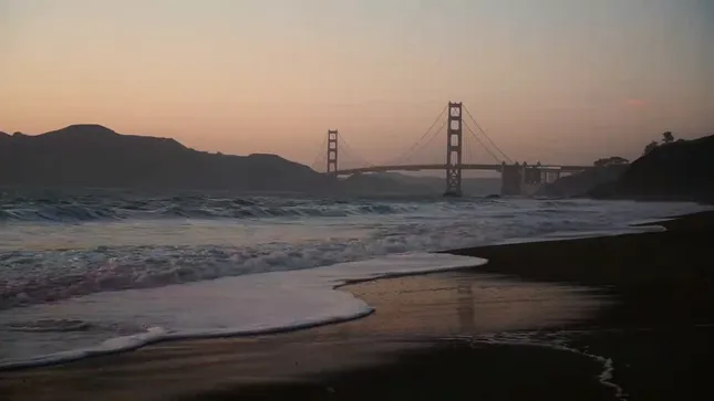 FROM THE ARCHIVES No.2