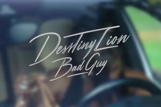 Destiny Zion x Bad Guy