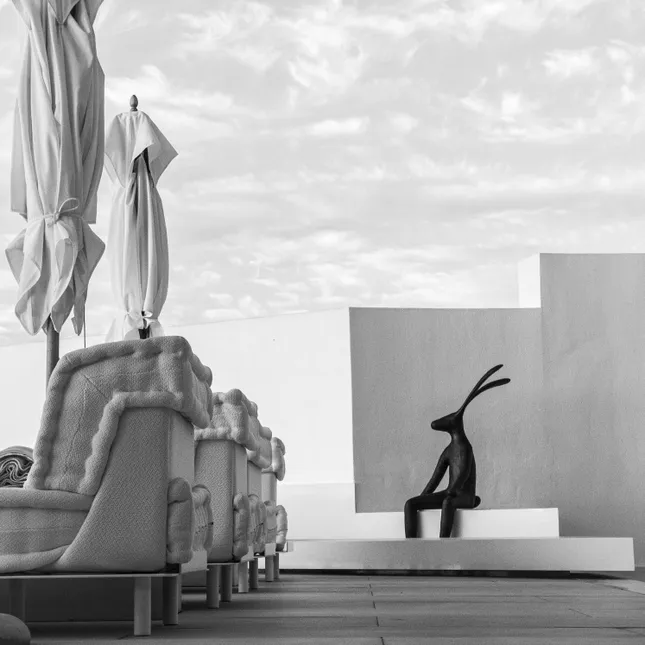 The White House - Enes Yilmazer