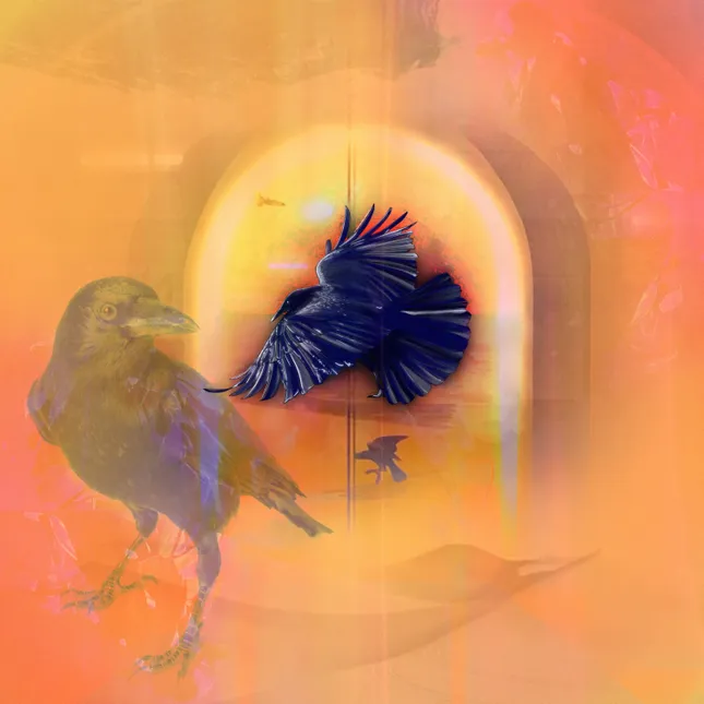 Selected Illustrations II