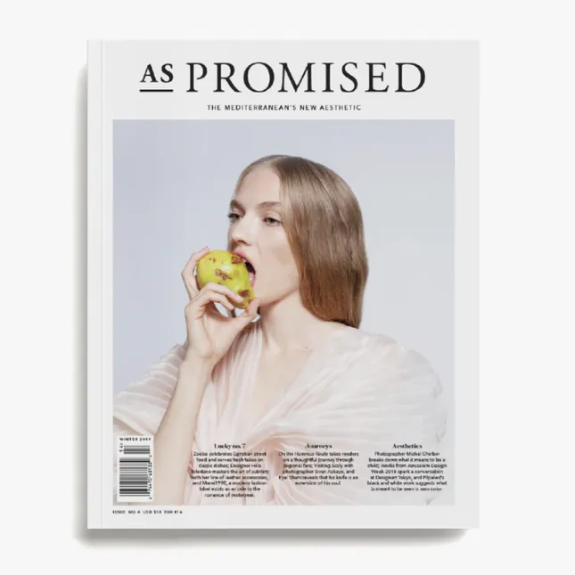 Story for AS Promised Magazine