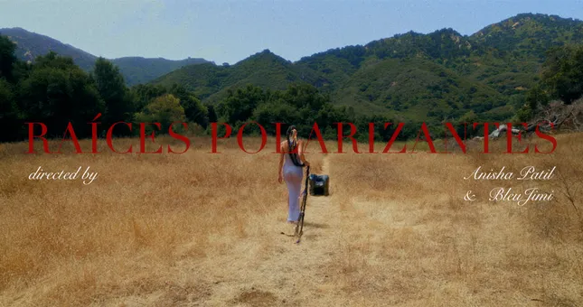 RAÍCES POLARIZANTES