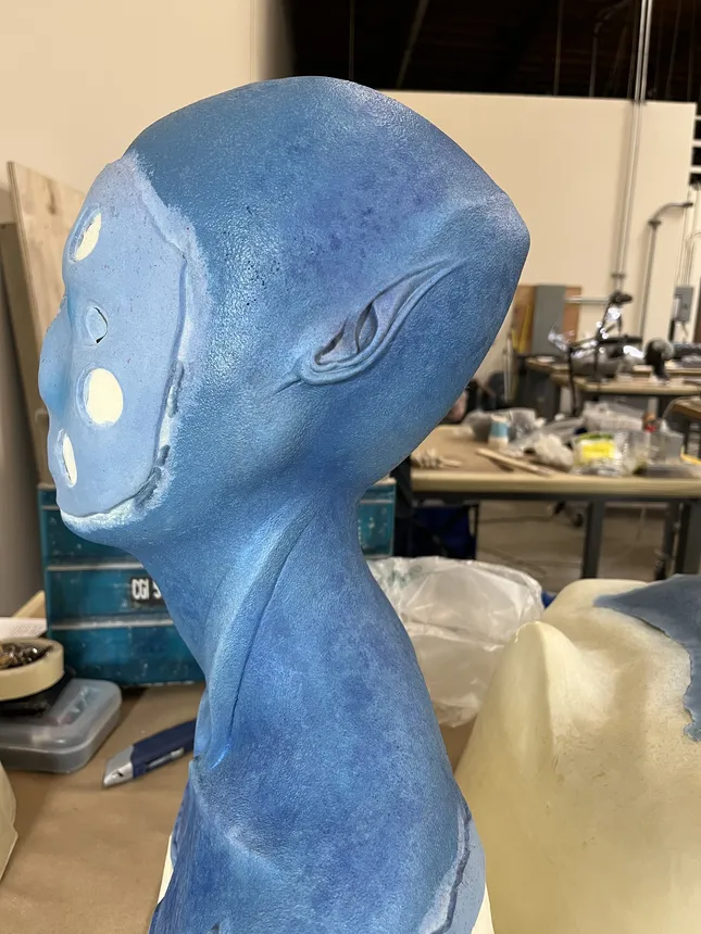 Project image