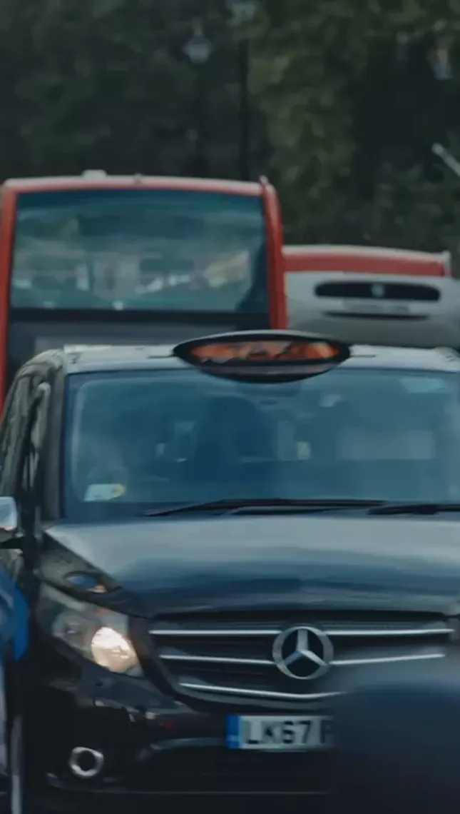 Gucci - Tiger Campaign