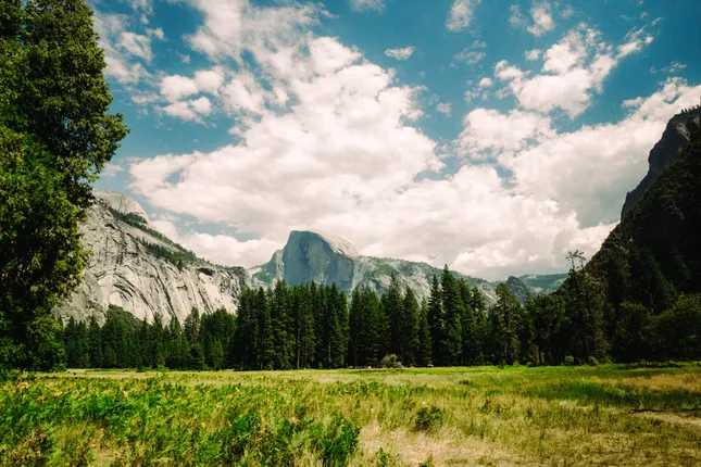 Yosemite Summer 2025