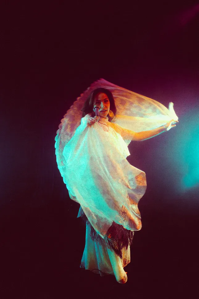 I Will Survive Cover Art