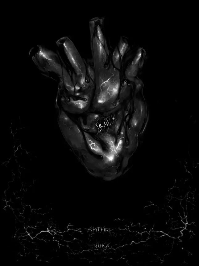 Black album art cover