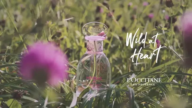 Wild at Heart