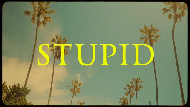 Steve Conwai - Stupid