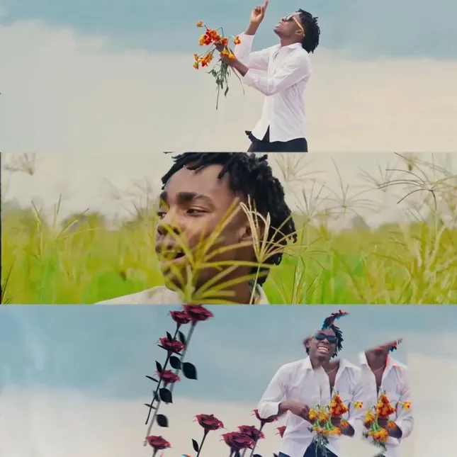 Music video color grading - Davinci Resolve