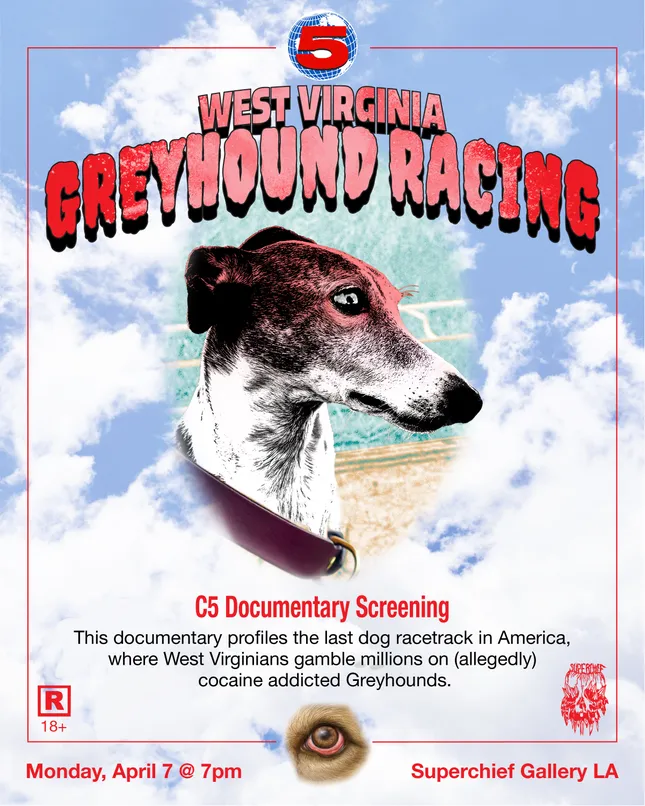 Channel 5 News: film poster