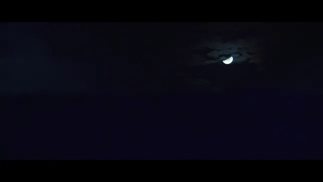 Red Bull x Jett Lawrence