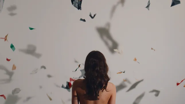 Sheidish - Eco Lingerie Commercial