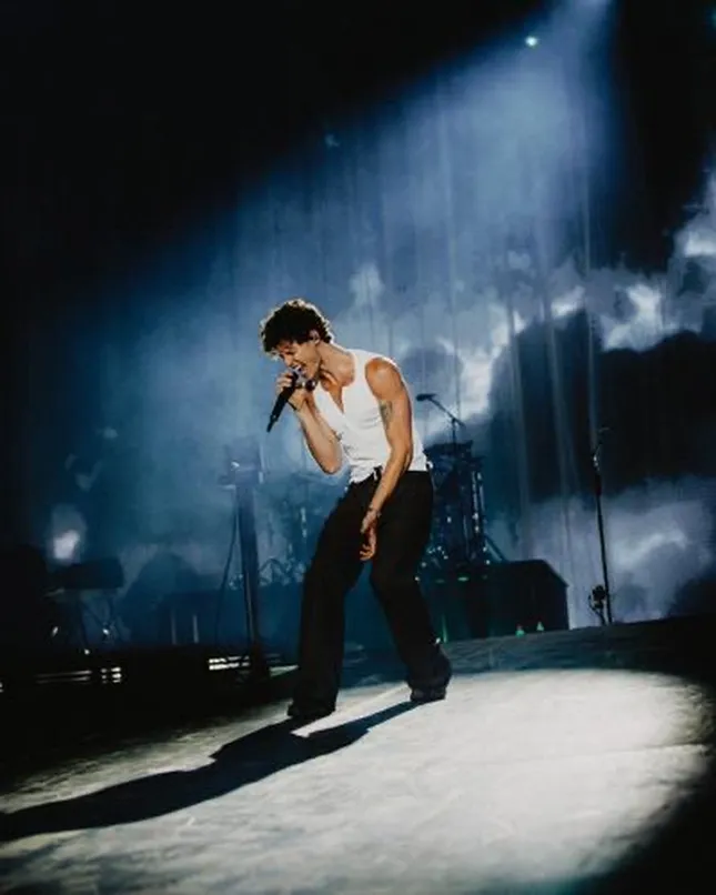 Shawn Mendes - “on the road again” tour