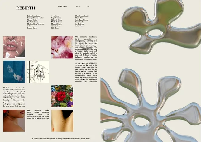 Project image