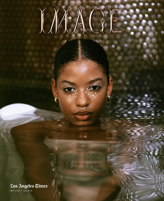 LA Times Image Cover