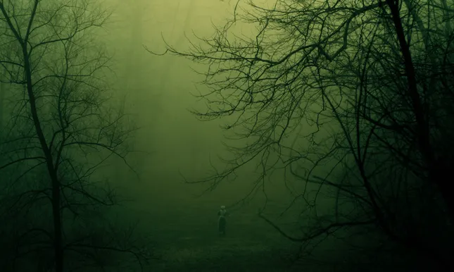 The Veil