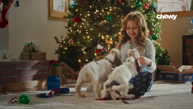 Holiday Campaign at Chewy