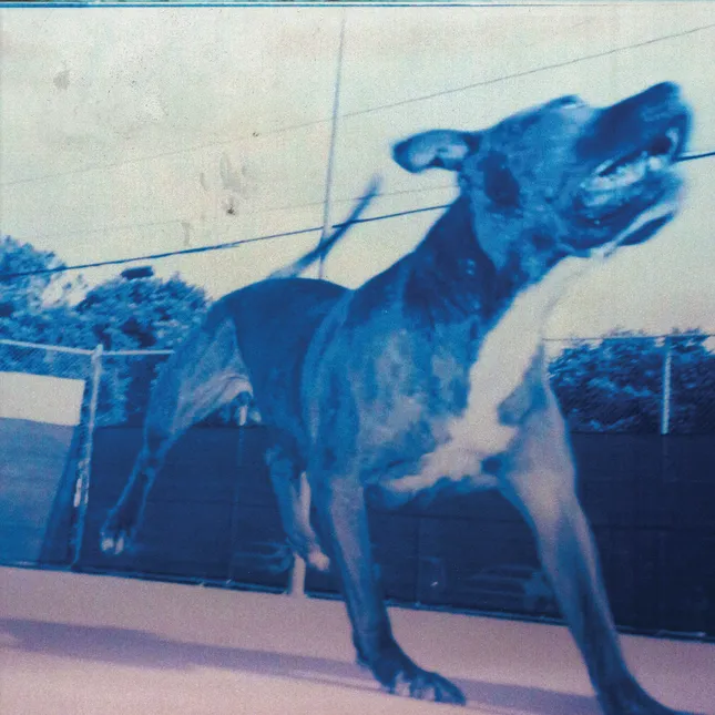 Still Blank self titled album cover