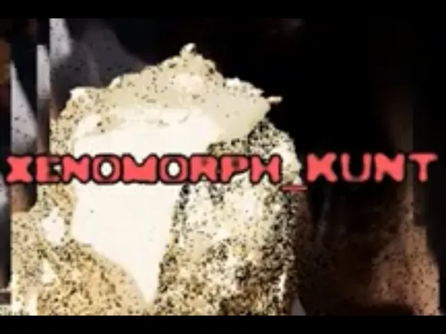 xenomorph_kunt