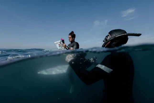 REEF - mapping the reef