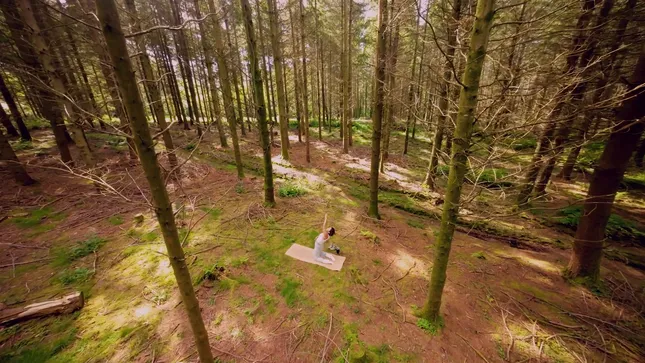 Yoga In The Woods - YETI